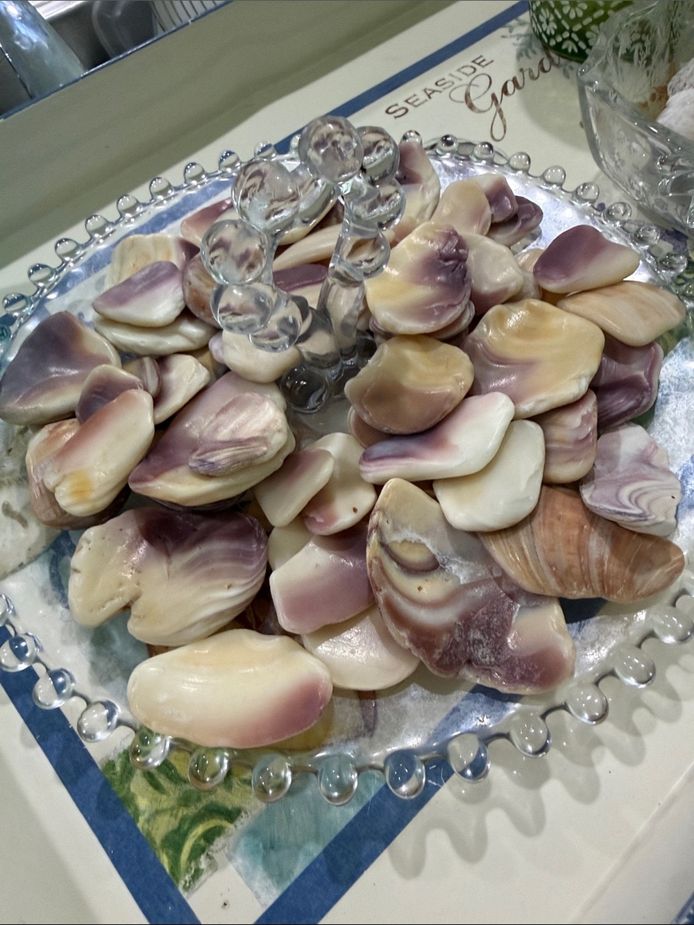 Wampum shells